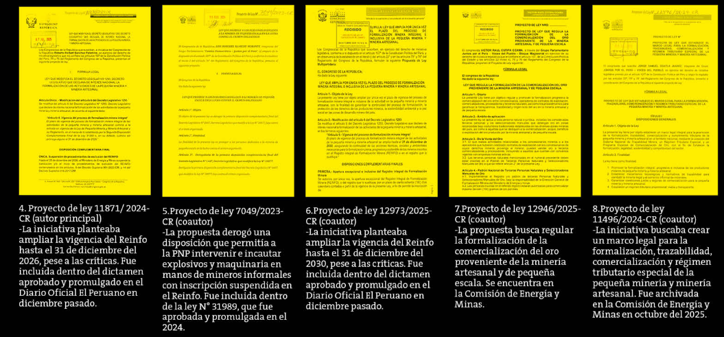 Proyectos de Roberto Sánchez