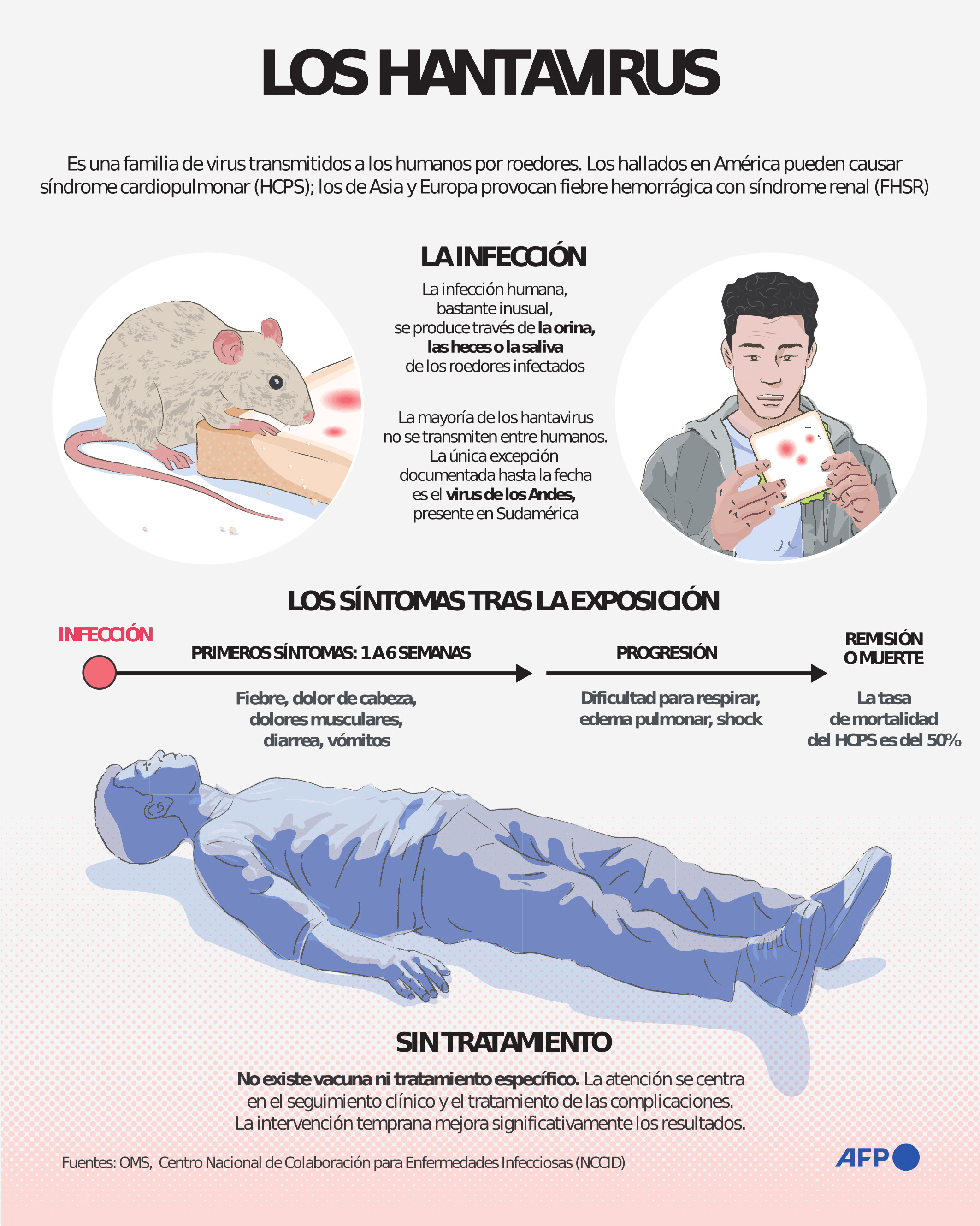 Hantavirus