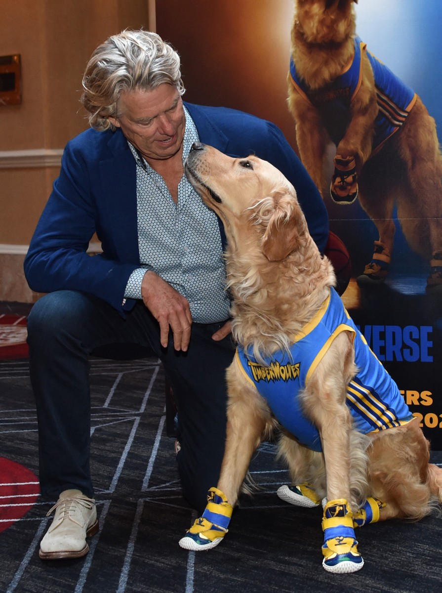 PERRO 