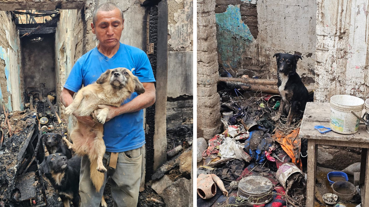 Adulto mayor pierde todo en incendio de Huaral y se reencuentra con sus perritos