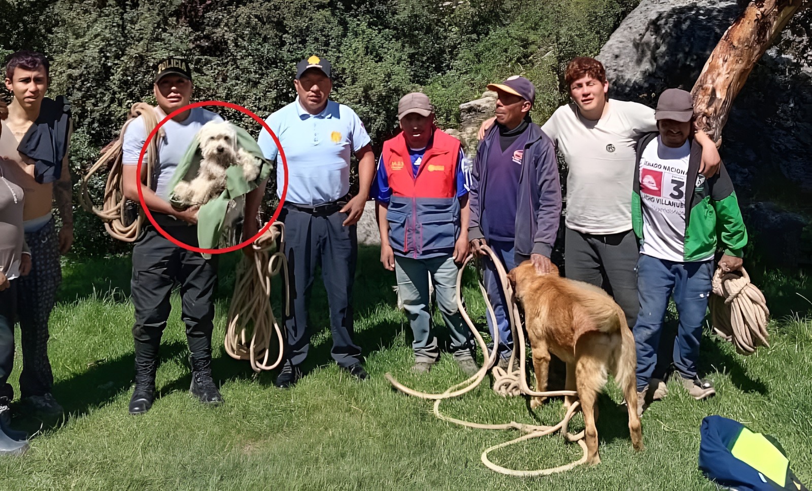 Cusco: rescatan a perrita que cayó a precipicio de 100 metros en el sector Balcón del Diablo