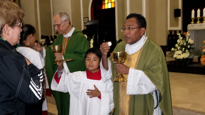 papa león 