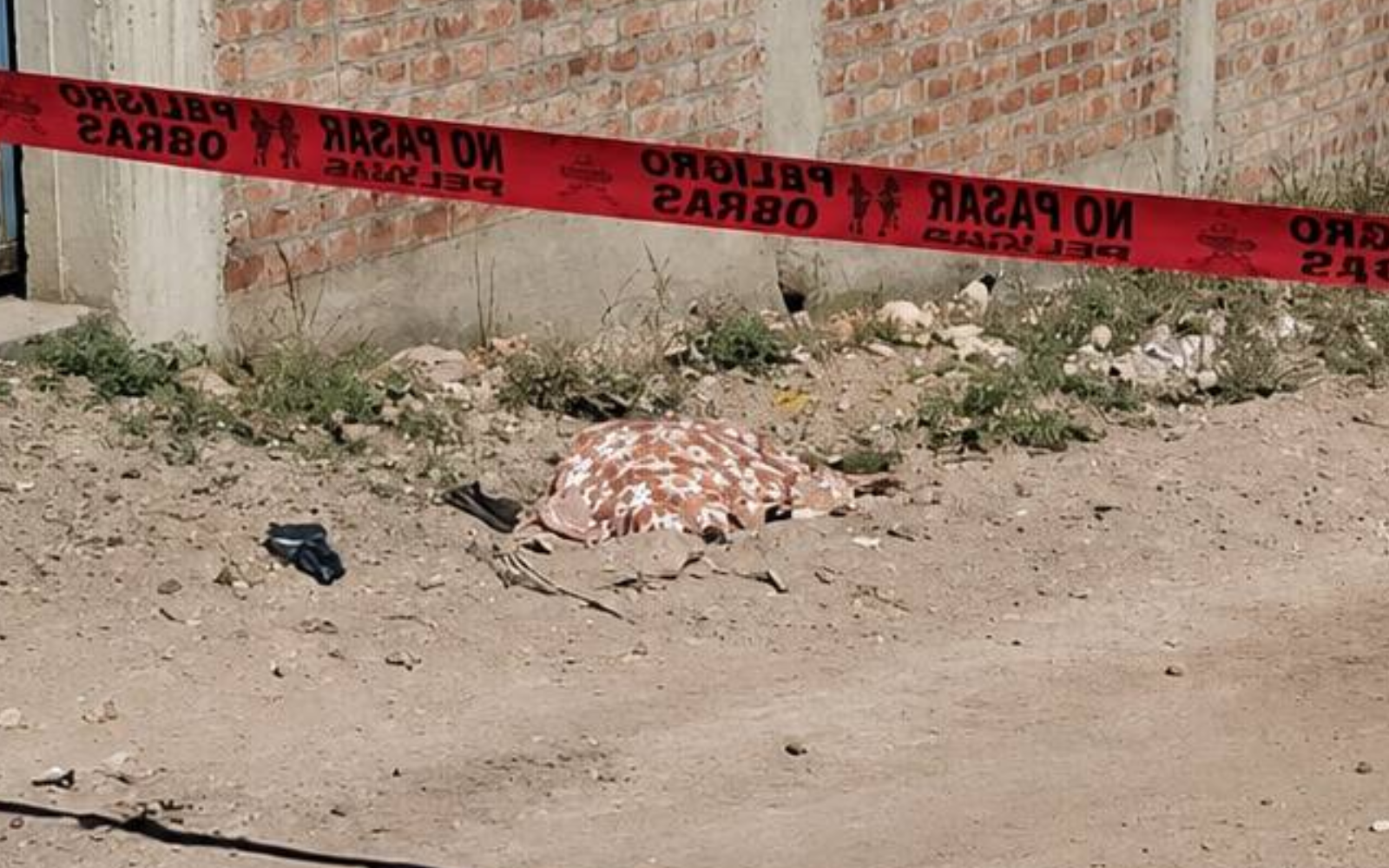 Arequipa: Jauría de perros mata a adulta mayor hasta matarla