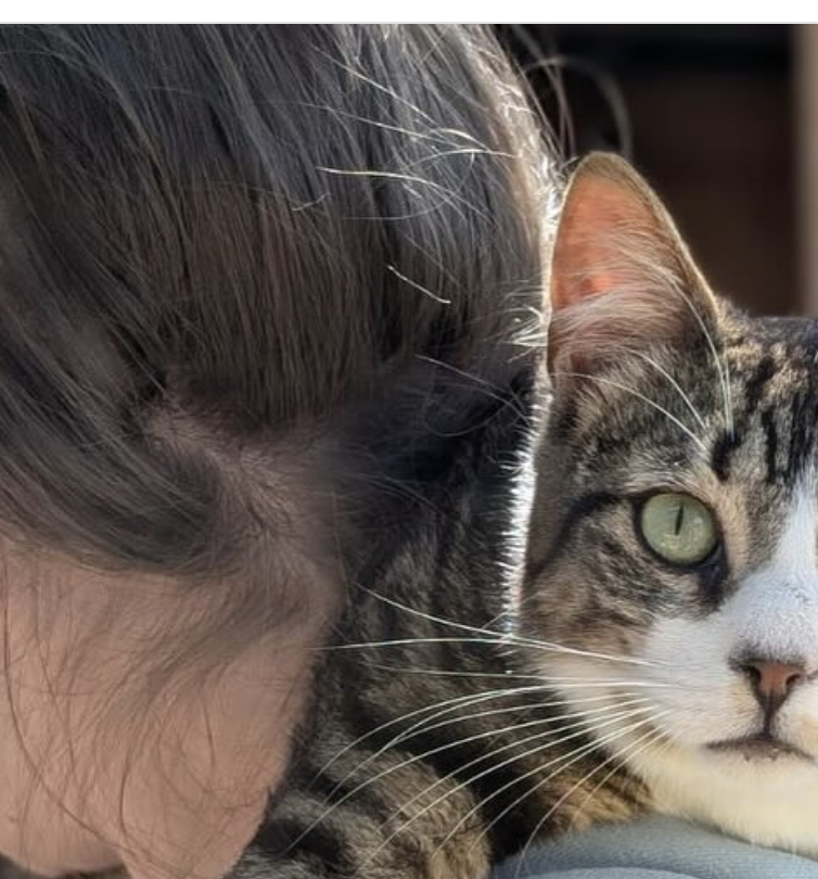 GATOS 
