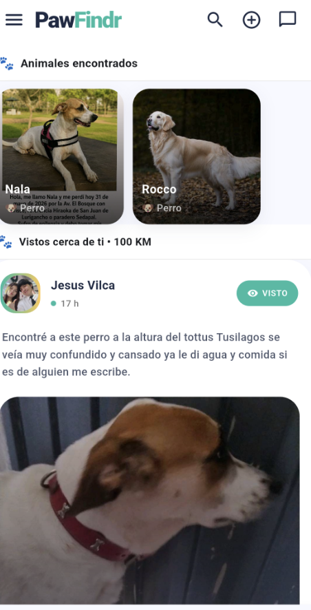 BUSCA 
