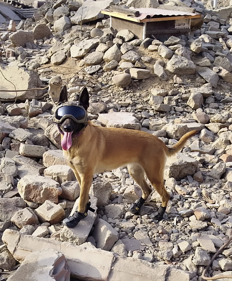 KAYRA 