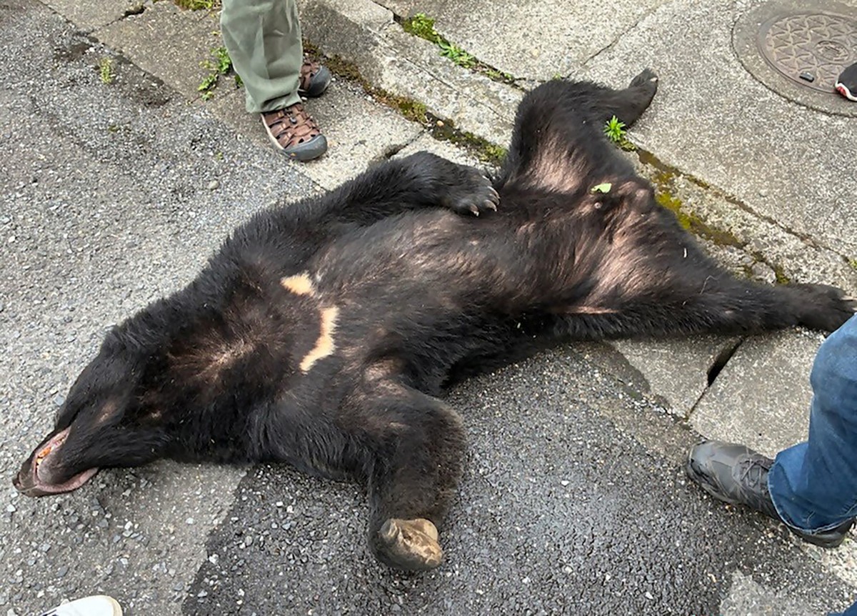 OSO