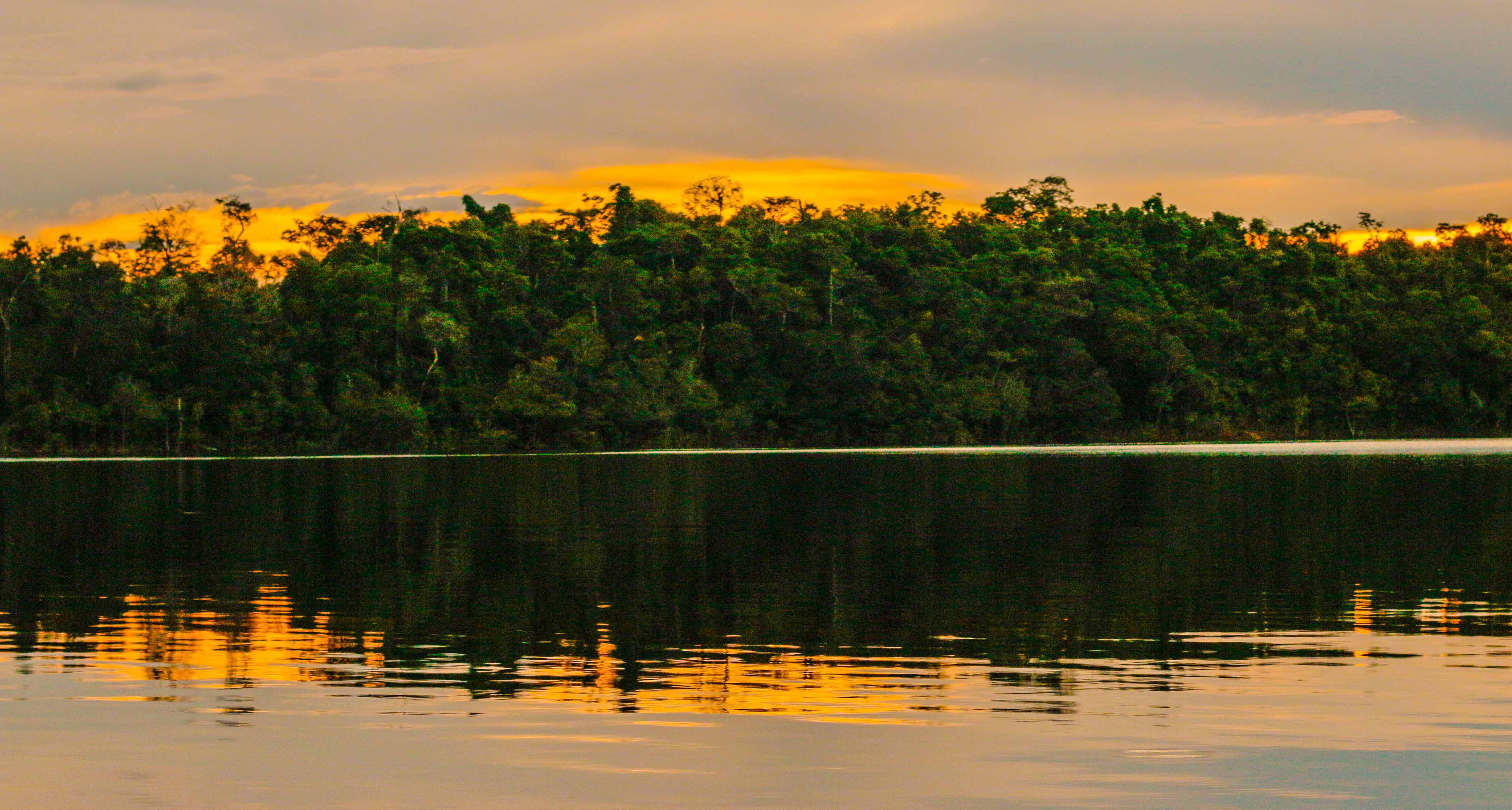 parque nacional jau