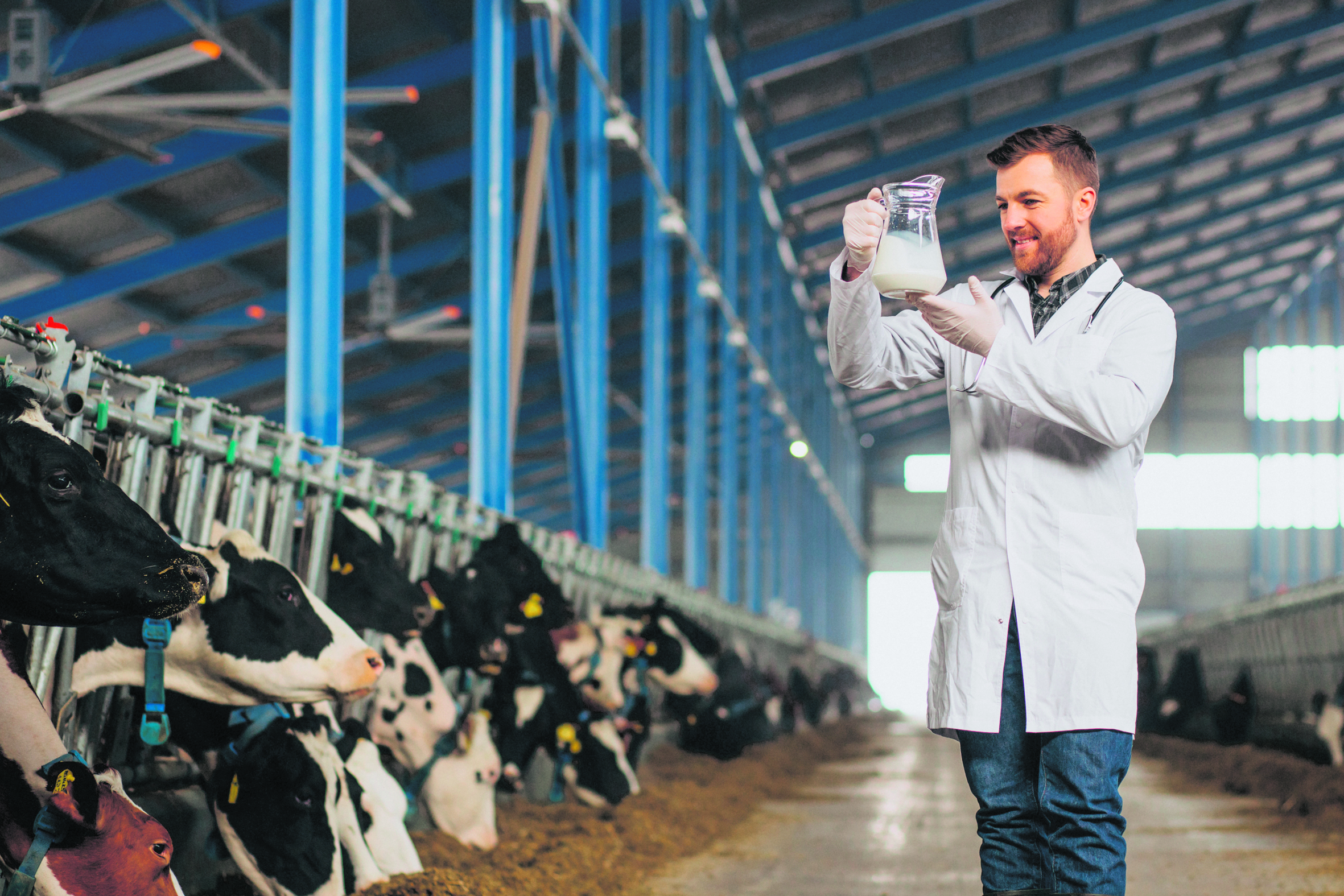 control lácteo. Después de ordeñar y llevar la leche a los centros de acopio, la cadena de custodia del producto necesita de infraestructura de frío, control microbiológico y pasteurización para finalmente ser envasado.