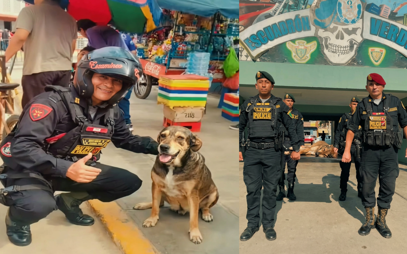 Policía de Trujillo despide con honores a Vaguito, el perro que acompañó durante años sus patrullajes
