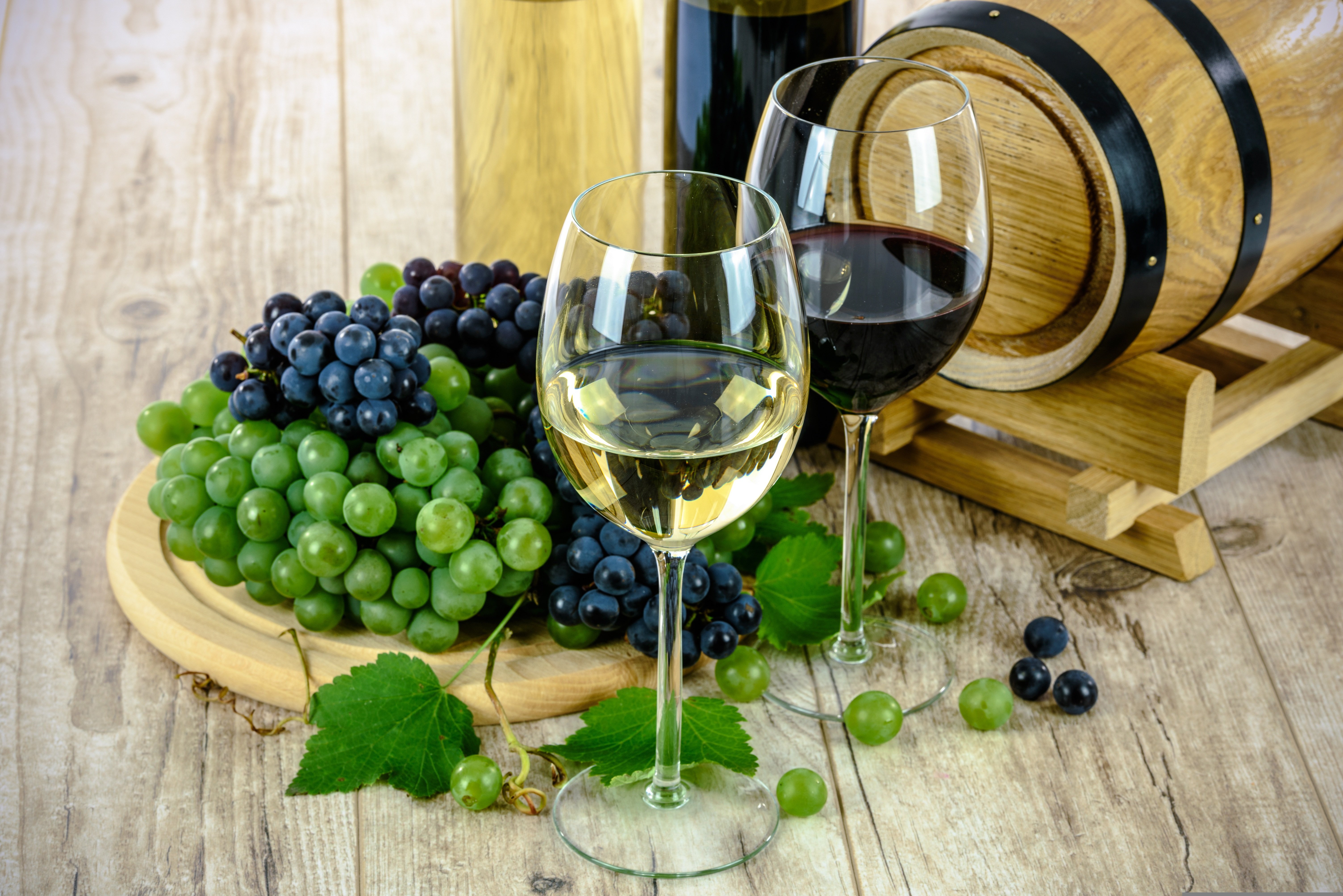 VINO 