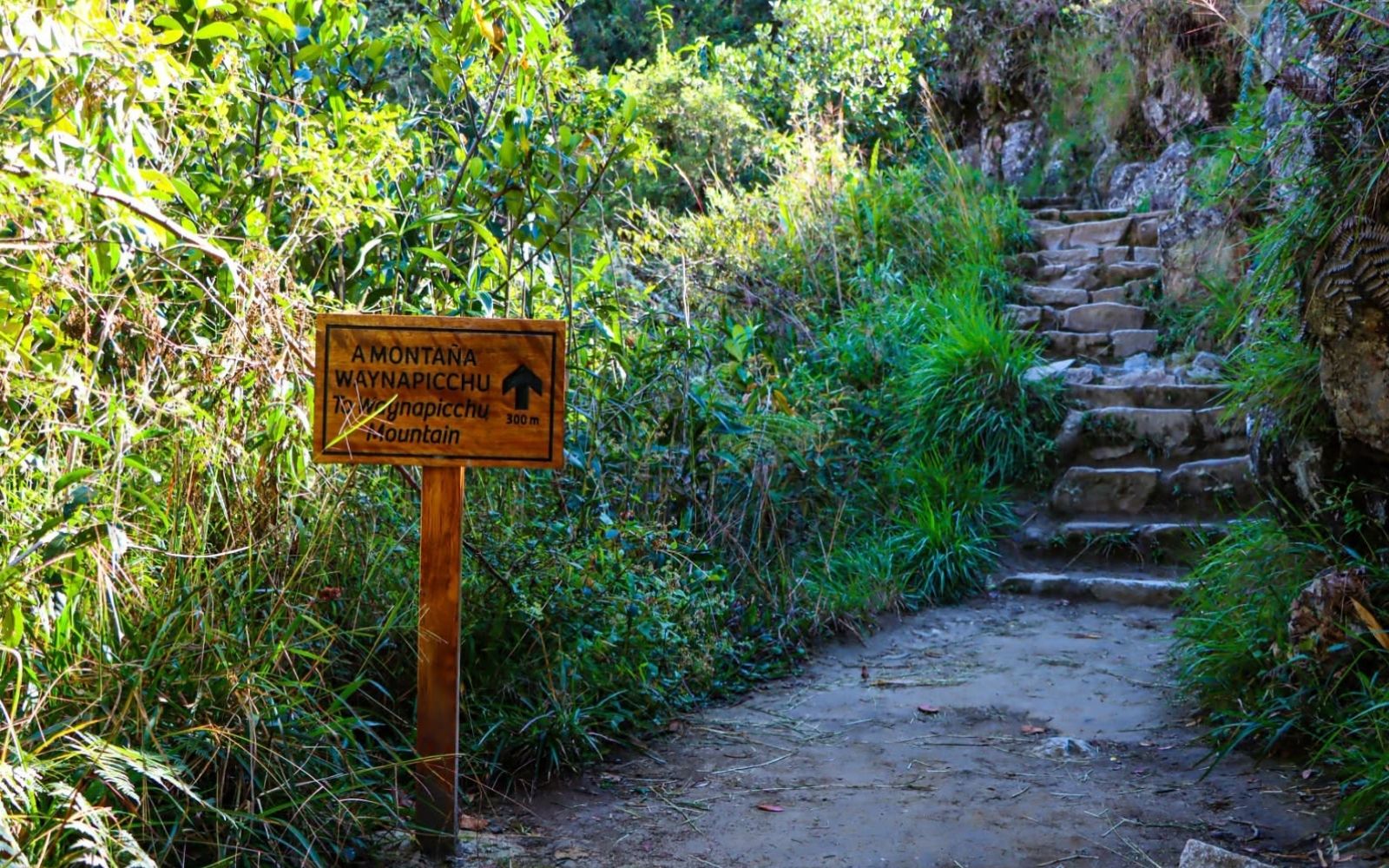 waynapicchu machu picchu