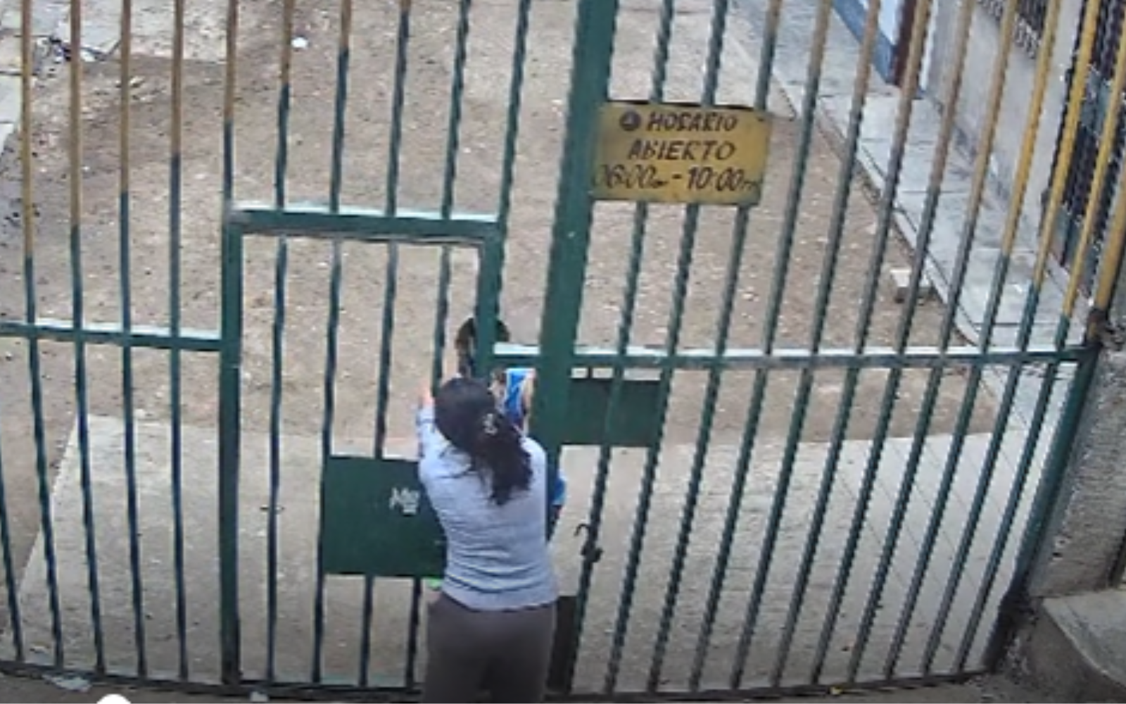 Madre enfrenta a ladrón y lo encierra en reja vecinal