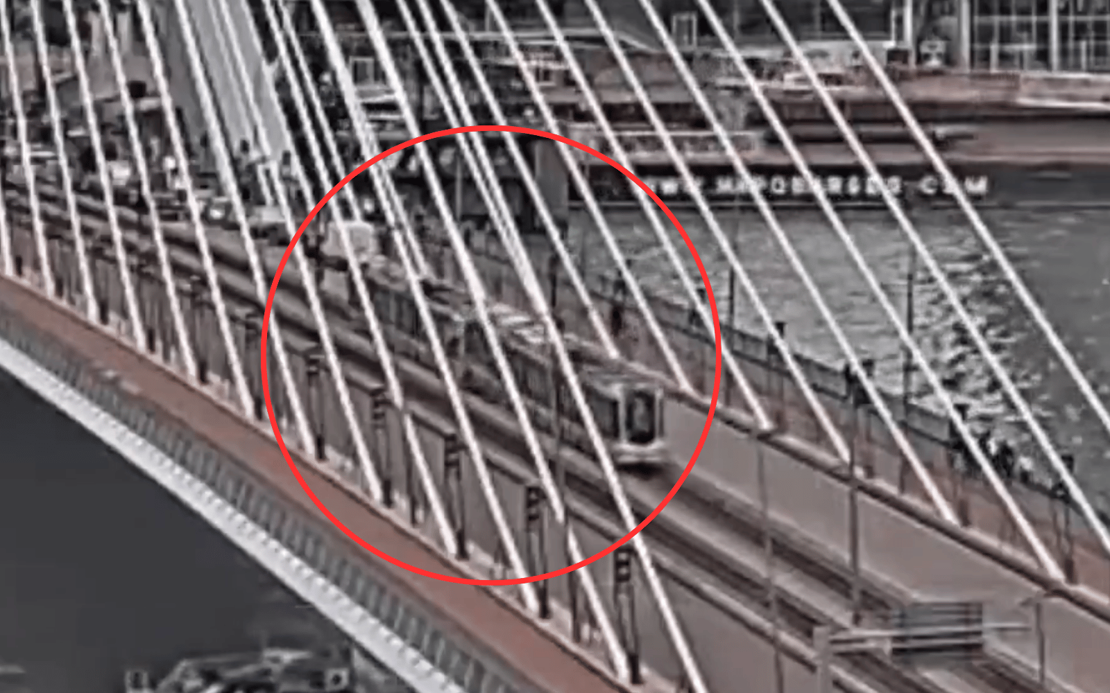 Al menos 15 heridos deja choque de dos tranvías en un puente de Róterdam video 