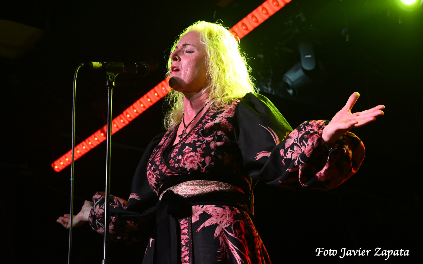 Liv Kristine afonía y melodía en Lima