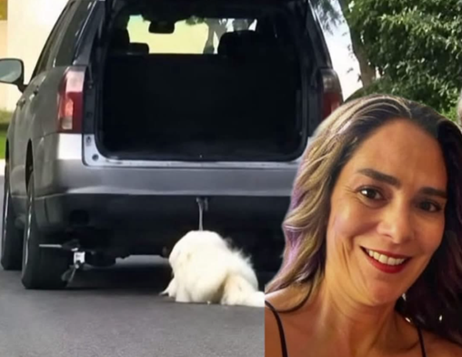 México: mujer atropelló tres veces a su perro tras una discusión con su esposo