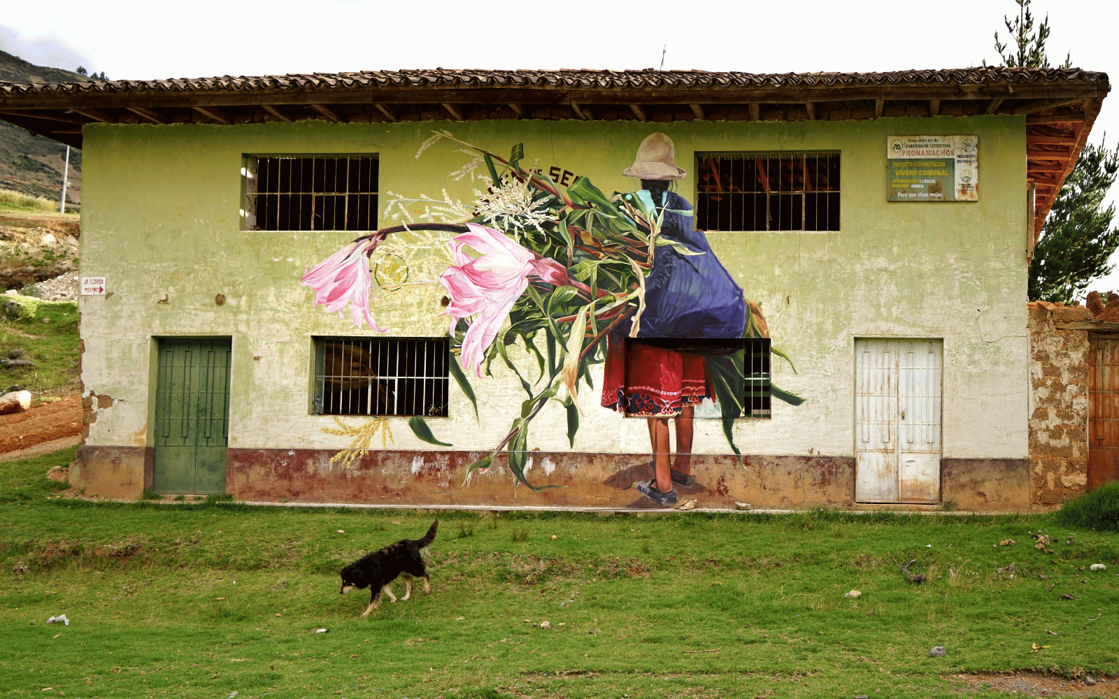 Proyectos artísticos colectivos transforman vidas en las regiones del Perú