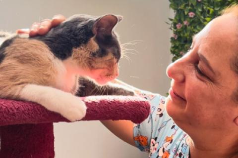 La habilidad de 'Nana Mónica' para conectar con estos animales y crear un ambiente seguro y tranquilo es lo que distingue al Hotel Felino.