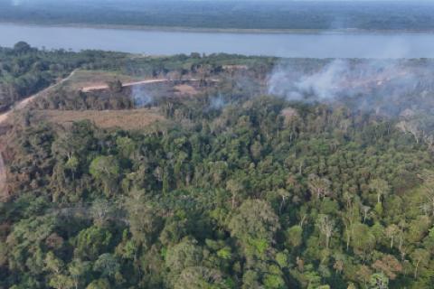 incendio forestal amazonas