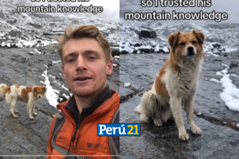 PERRITO HUARAZ