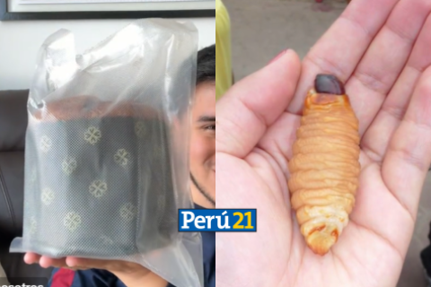 panetón de suri