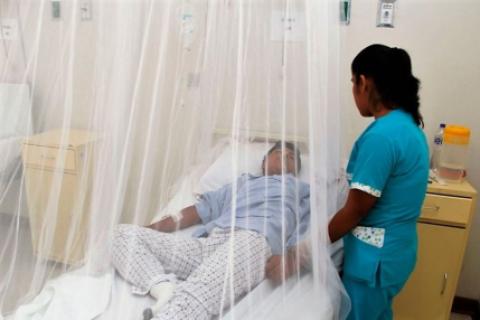 Dengue