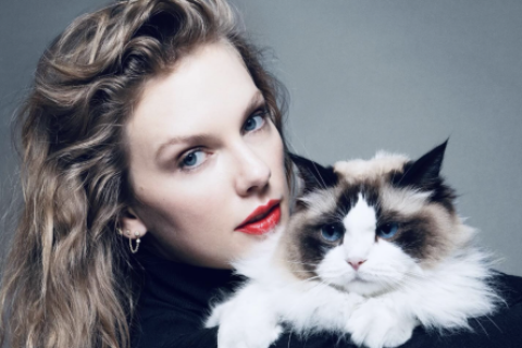 Taylor Swift 