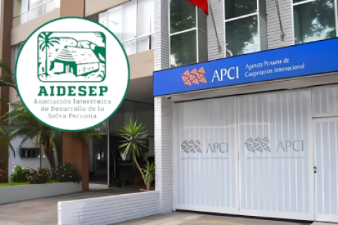 LIMITACIONES. La Agencia requiere por lo menos de dos millones de soles más para intentar una fiscalización a todas las organizaciones inscritas. Foto: Composición Perú21
