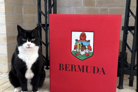 Palmerston dejó el Ministerio de Asuntos Exteriores en 2020. (Foto: X)