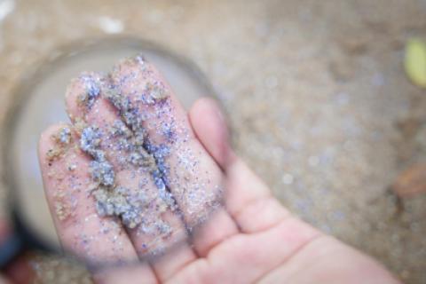 Los microplásticos han llegado al cerebro. 