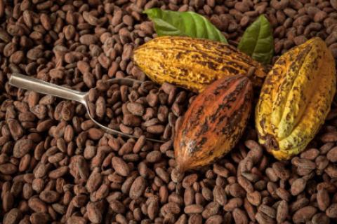cACAO