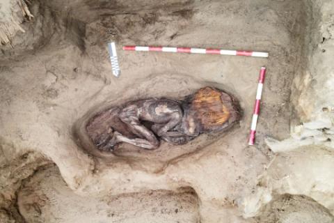 hallazgo aspero caral