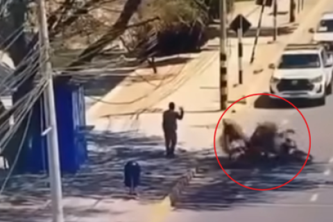 Piura: Policías que escoltaban a Dina Boluarte chocan entre ellos 