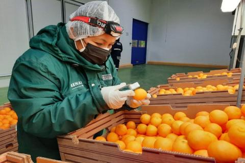 agroexportacionmidagri