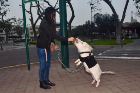 Betopocho