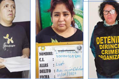 Los Injertos del Cono Norte