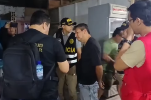 los injertos del amazonas