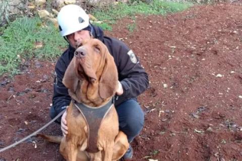 BRUNO