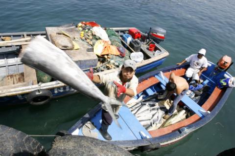Pescadores en Matarani y Quilca levantaron bloqueo de carretera: no descartan retomar medidas 