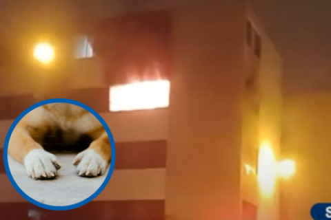 incendio