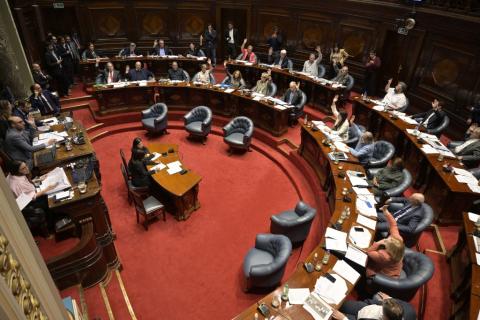 Senado de Uruguay aprueba la eutanasia. Foto: AFP
