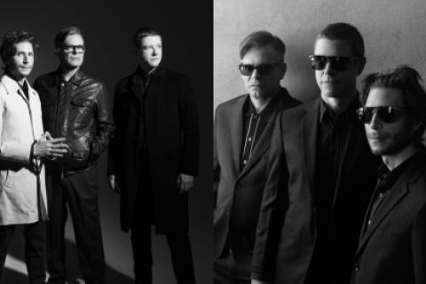 interpol
