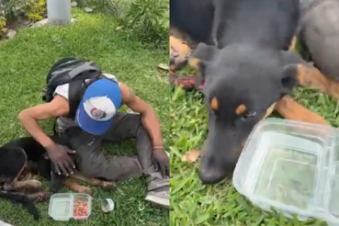 Indignante preden fuego a hombre en situación de calle y su mascota en San Miguel