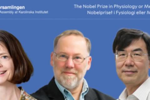 NOBEL MEDICINA