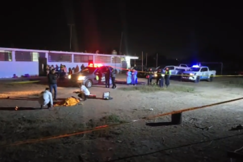 asesinan a rescatista de animales