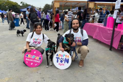 Adoptatón 