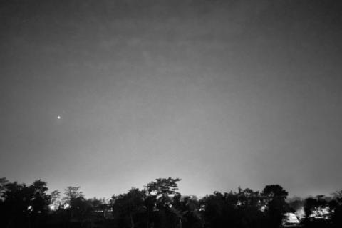 NOCHE 