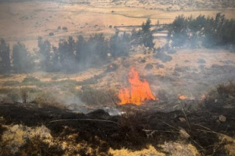 incendio forestal 