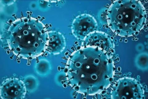 Confirman primer caso en Chile de la influenza H3N2 variante K todo lo que debes saber