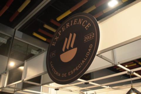 EXPERIENCIA 